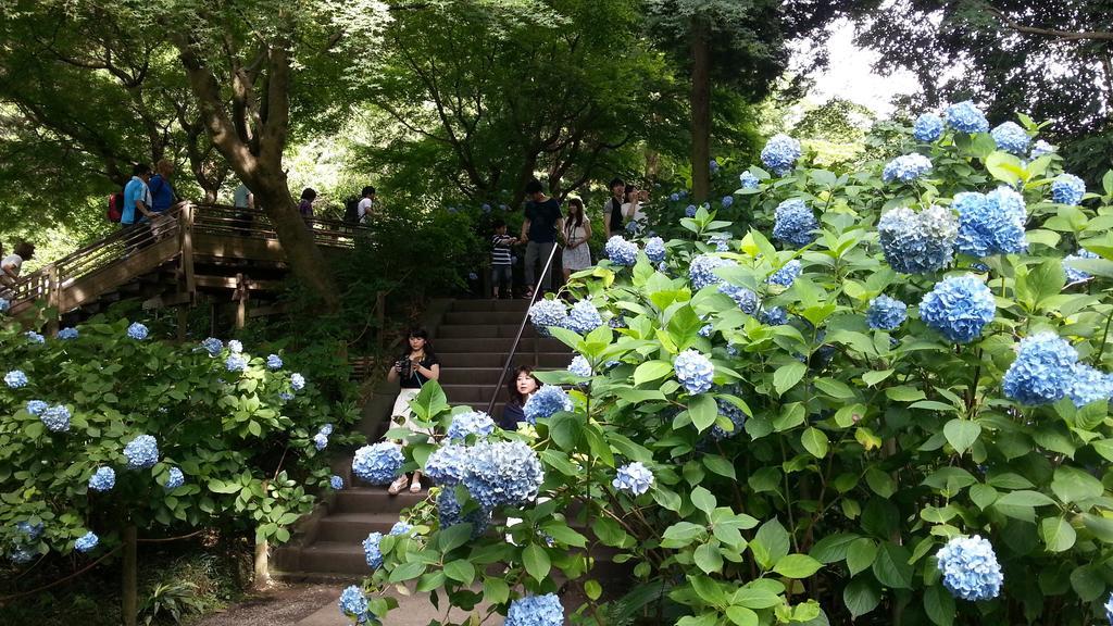 Enoshima Guest House 134 Fujisawa Ngoại thất bức ảnh